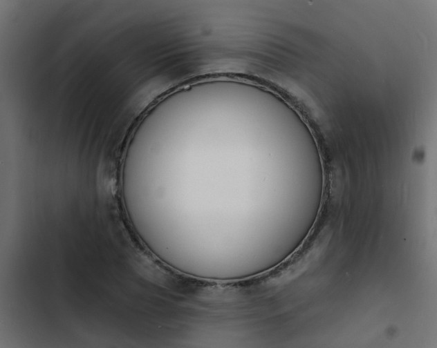 X0000103970929200809261831