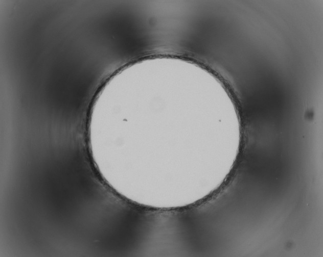 X0000103970930200809261831