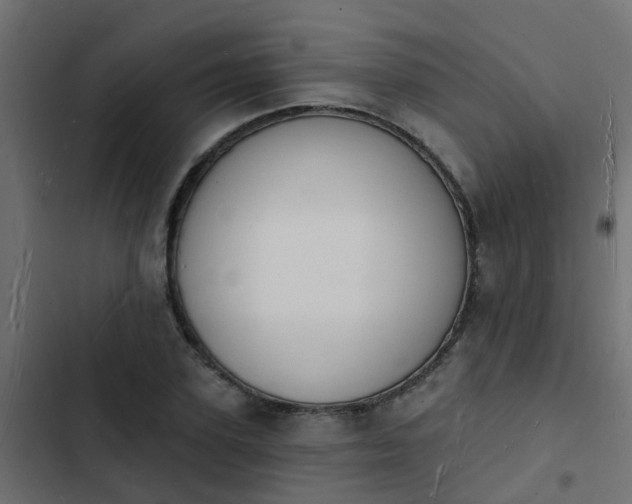 X0000103970931200809261831