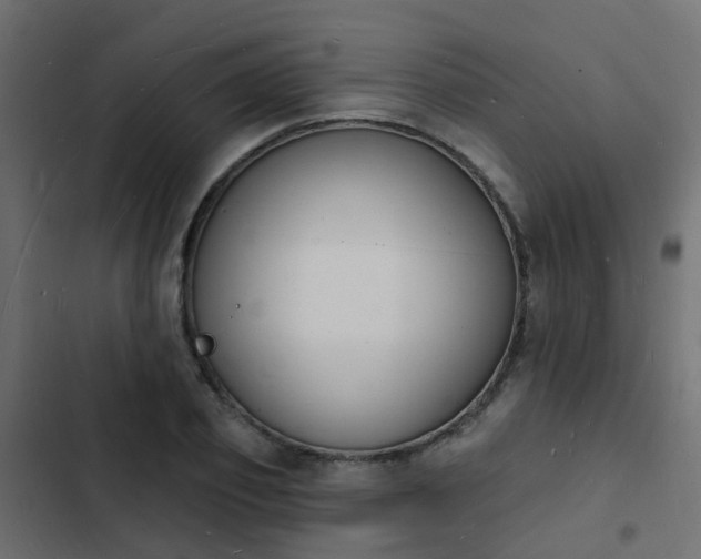 X0000103970933200809261831