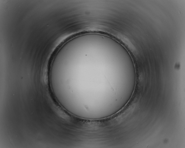 X0000103970934200809261831