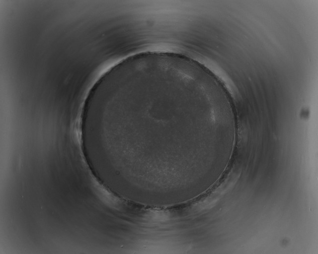 X0000103970935200809261831