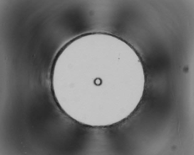 X0000103970936200809261831