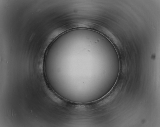 X0000103970938200809261831