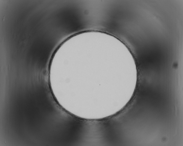 X0000103970940200809261831