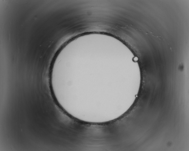 X0000103970942200809261831