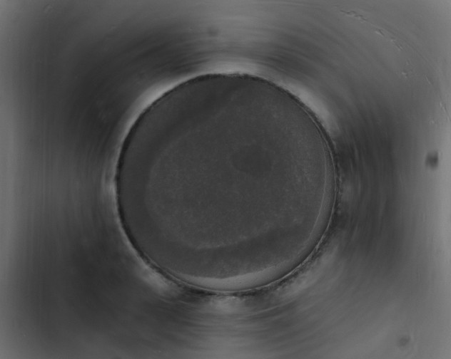 X0000103970943200809261831