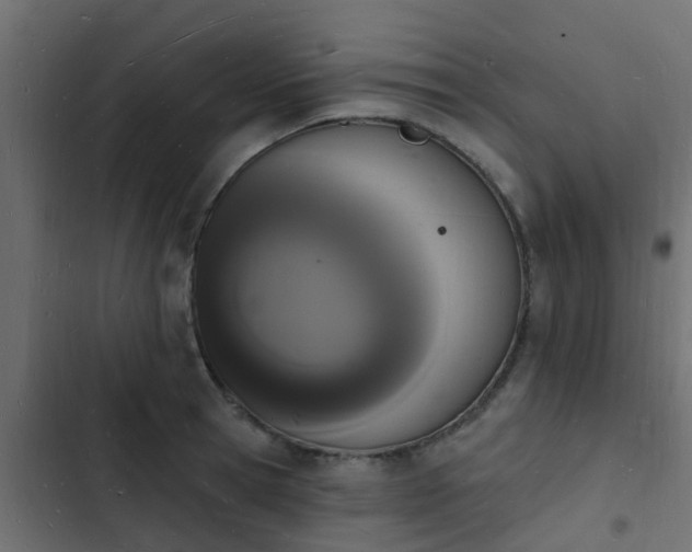 X0000103970945200809261831