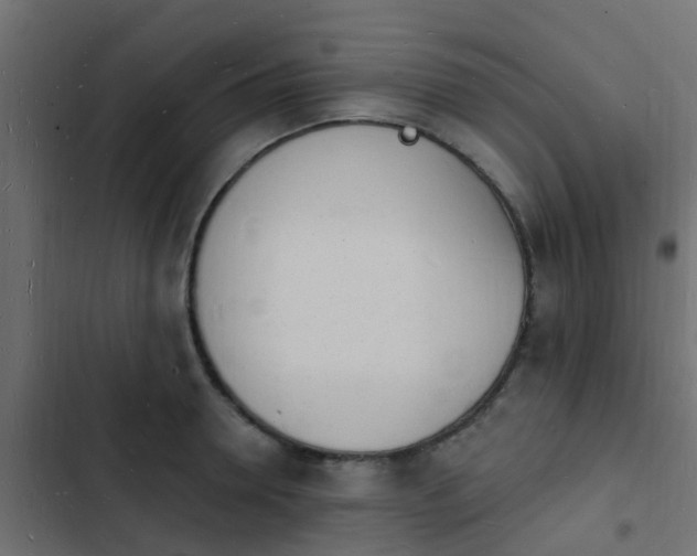 X0000103970946200809261831