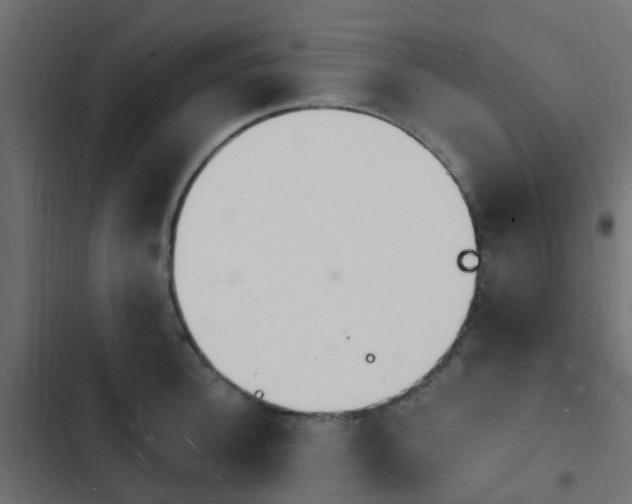 X0000103970948200809261831