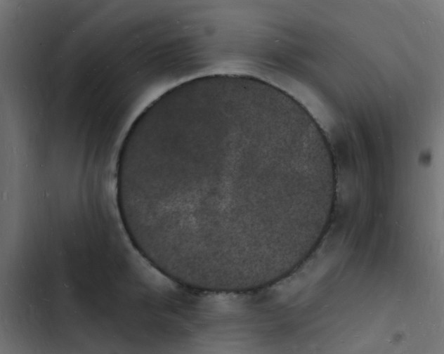 X0000103970950200809261831