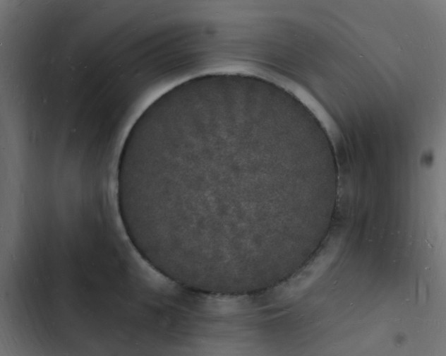 X0000103970951200809261831