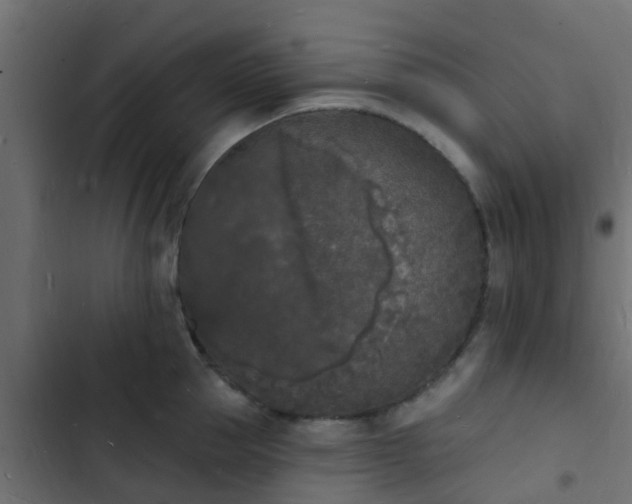 X0000103970953200809261831