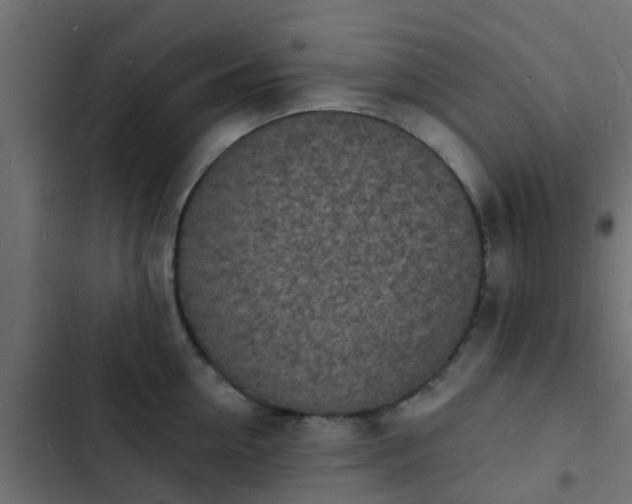 X0000103970954200809261831