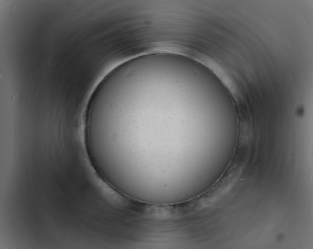 X0000103970955200809261831