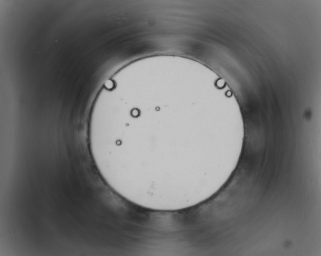 X0000103970956200809261831