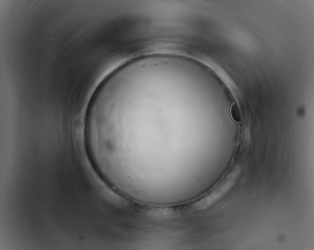 X0000103970957200809261831