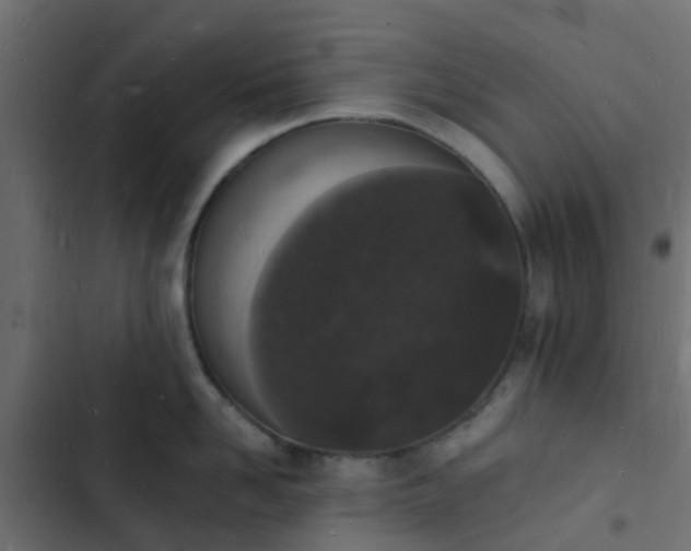 X0000103970958200809261831