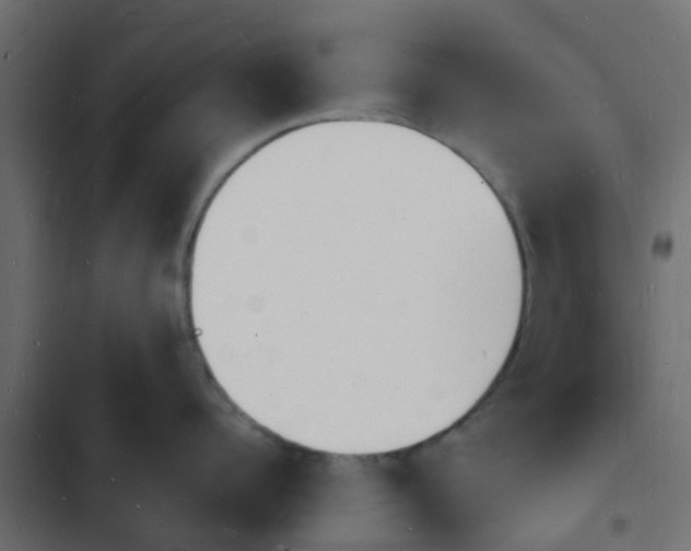 X0000103970960200809261831