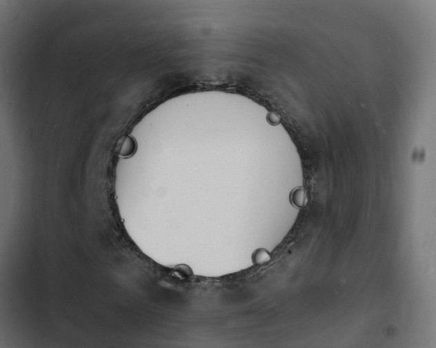 X0000103970961200809261831