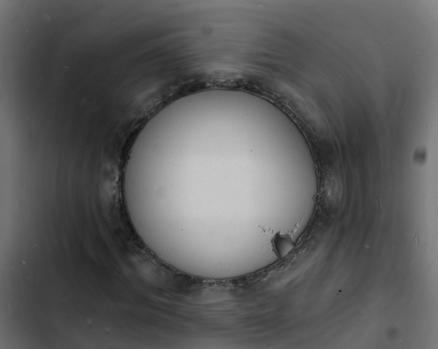 X0000103970964200809261830