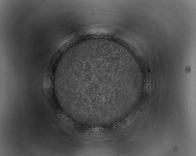 X0000103970966200809261830