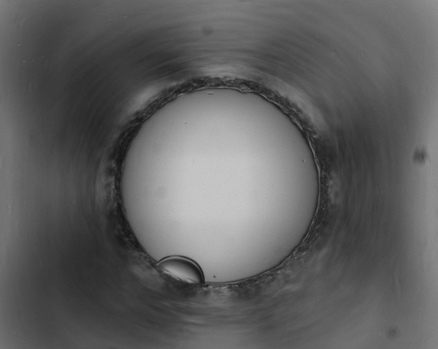 X0000103970968200809261830