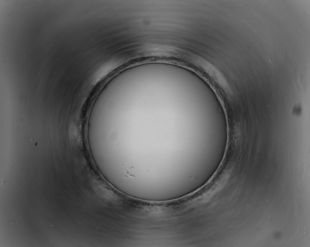 X0000103970970200809261830