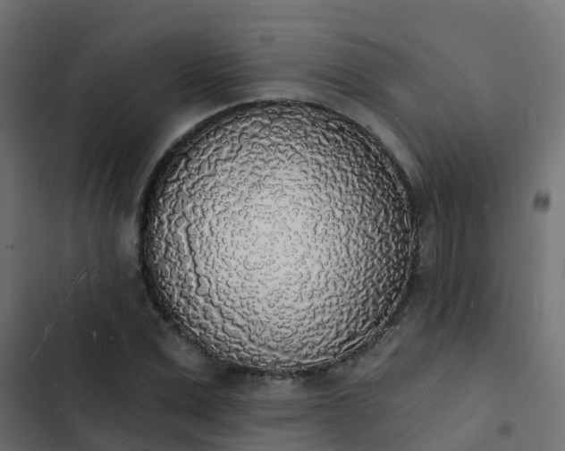 X0000103970975200809261830