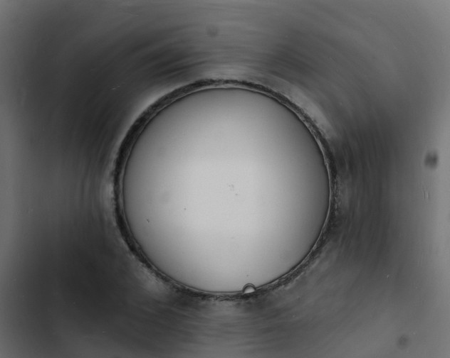 X0000103970976200809261830