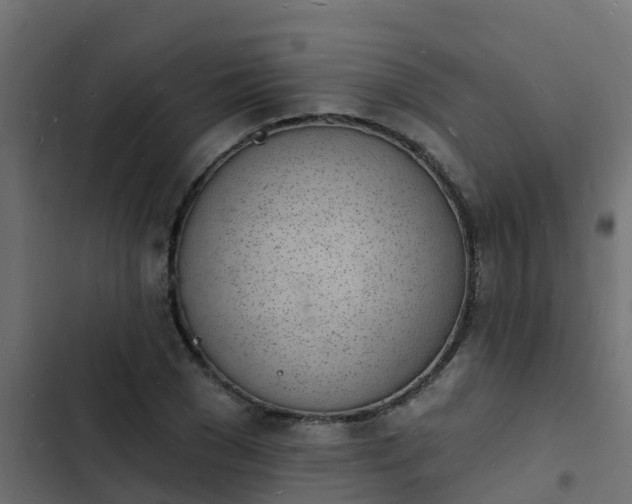 X0000103970977200809261830