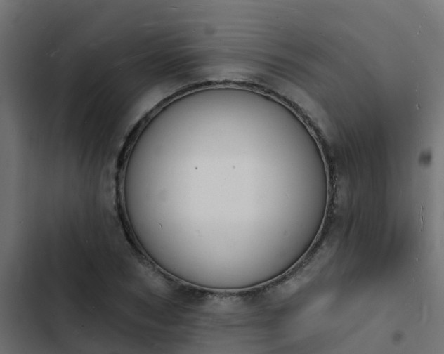 X0000103970978200809261830