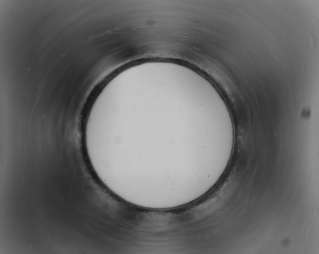 X0000103970981200809261830