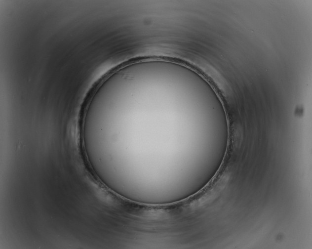 X0000103970982200809261830