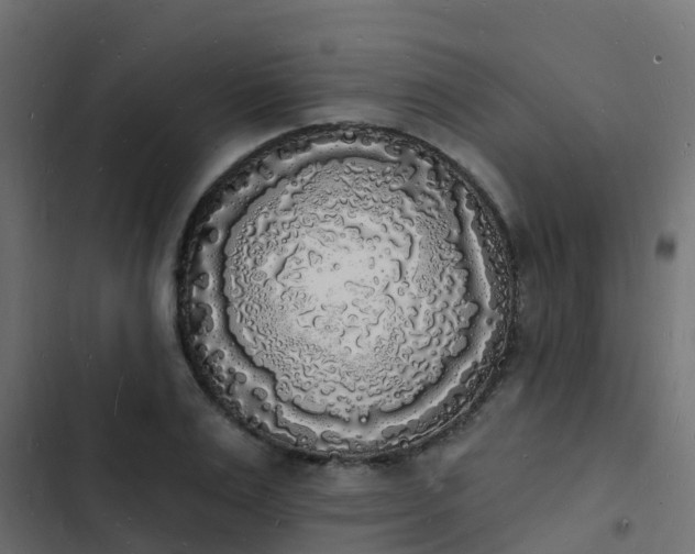 X0000103970983200809261830