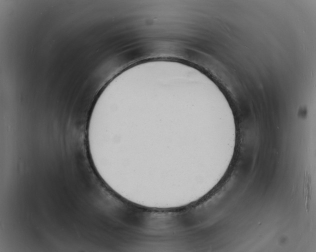 X0000103970985200809261830