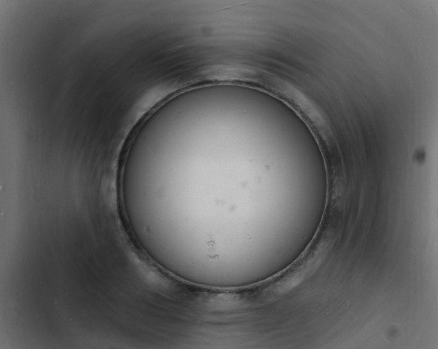 X0000103970986200809261830