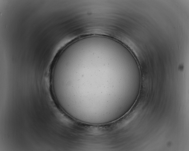 X0000103970987200809261830