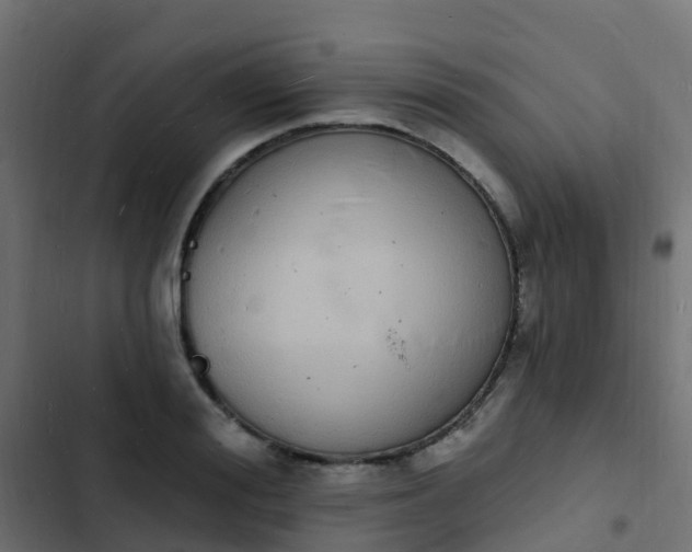 X0000103970988200809261830