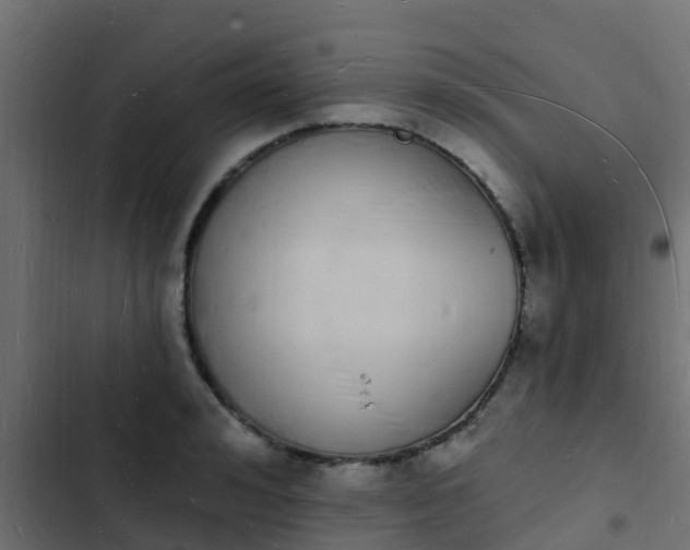 X0000103970992200809261830