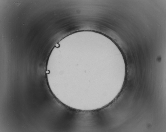 X0000103970993200809261830