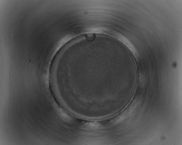 X0000103970994200809261830