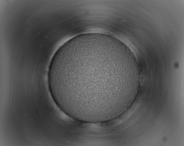 X0000103970995200809261830