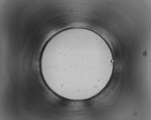 X0000103970997200809261830