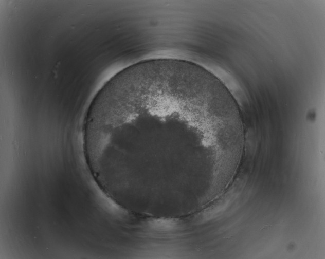 X0000103970998200809261830