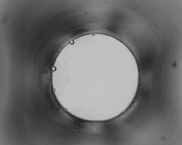 X0000103971001200809261830