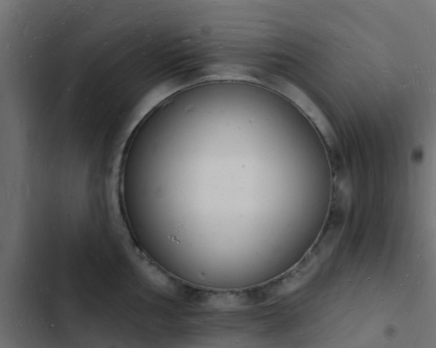 X0000103971002200809261830