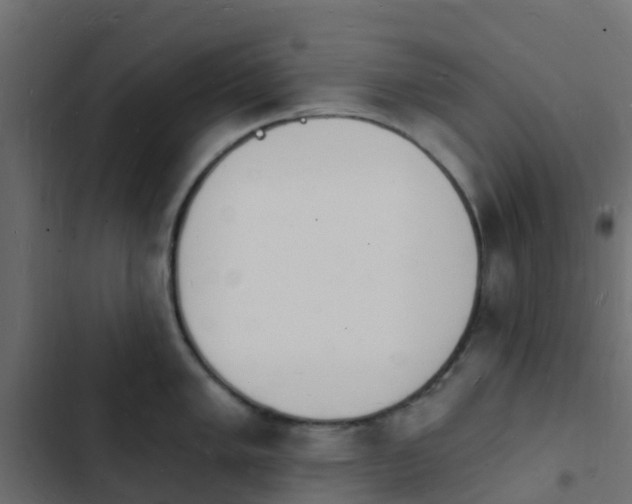 X0000103971005200809261830