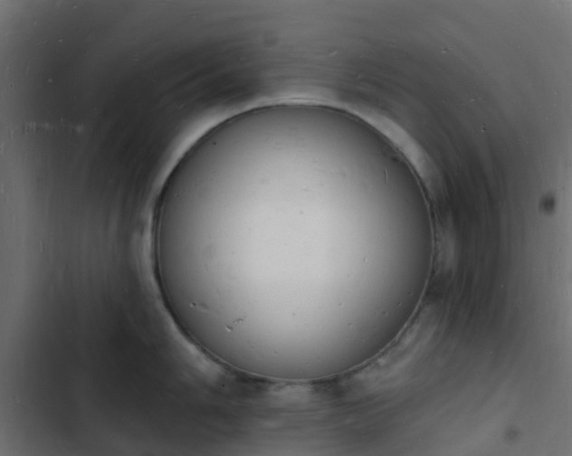 X0000103971006200809261830