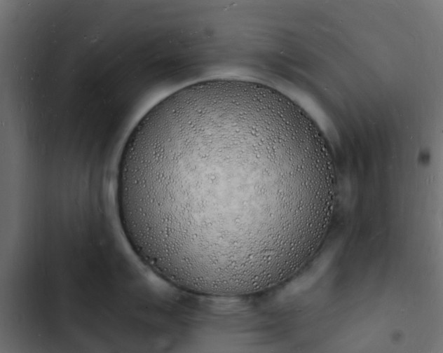 X0000103971007200809261830